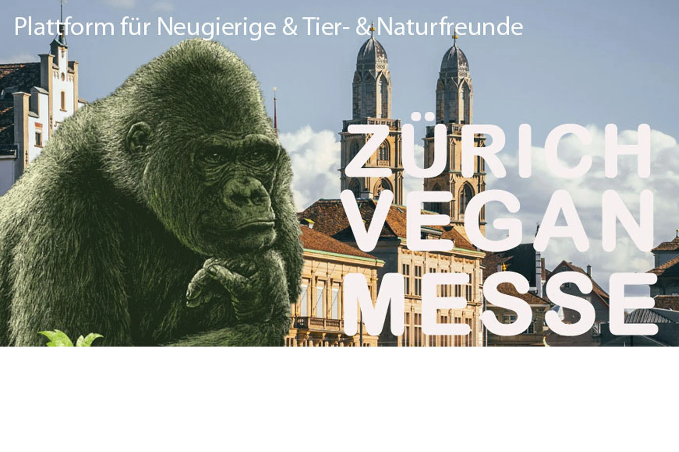 Vegan Messe Zürich in Winterthur