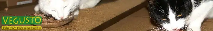 Vegane Katzennahrung von Vegusto