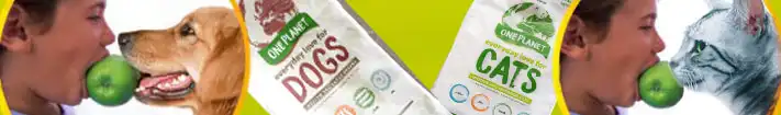 Vegane Katzen- und Hundenahrung von AMI
