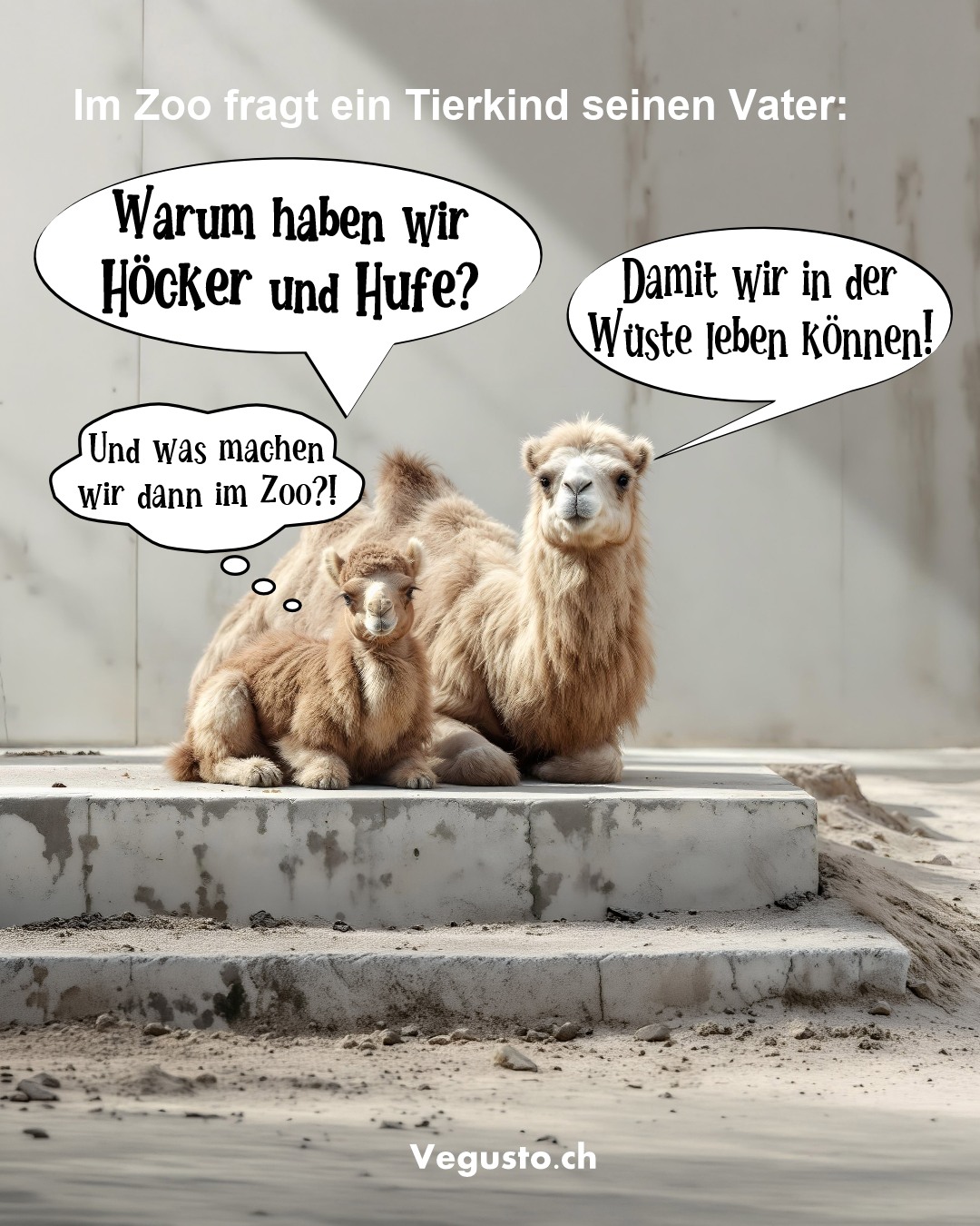 kamele
