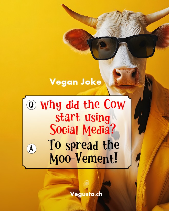 Englischer Humor: Social Media