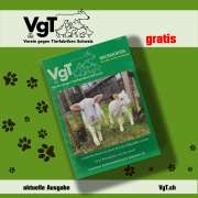 VgT.ch: News - VN 24-01 (German)