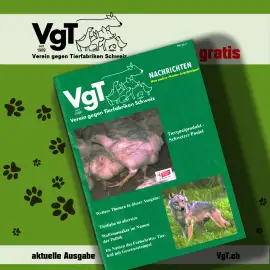VgT.ch Nachrichten - VN25-03
