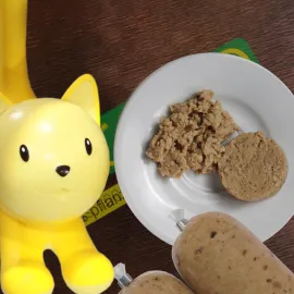 Vegan-Cat Forest
