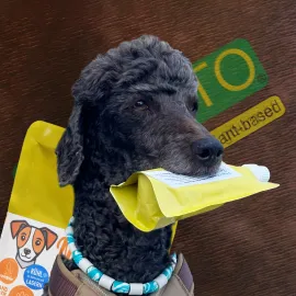 Vegane Naschcreme für Hunde und Katzen