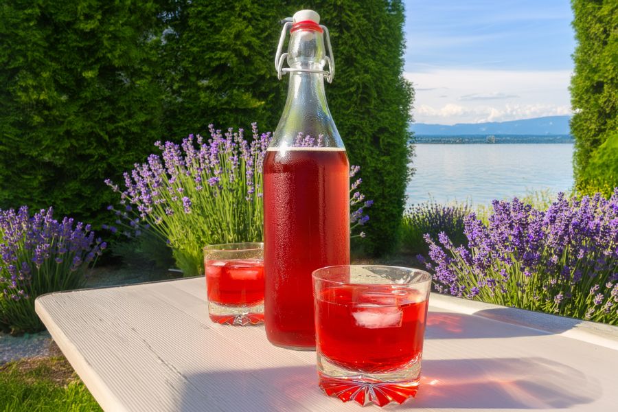 Homemade red iced tea with xylitol